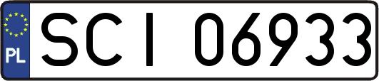 SCI06933