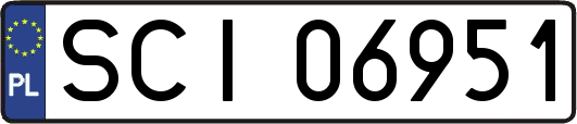 SCI06951