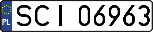SCI06963