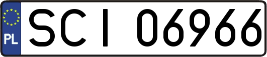 SCI06966
