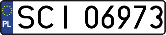 SCI06973