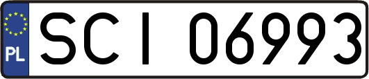 SCI06993