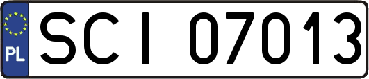 SCI07013