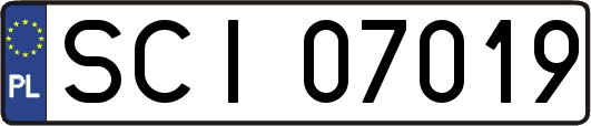 SCI07019
