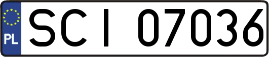 SCI07036