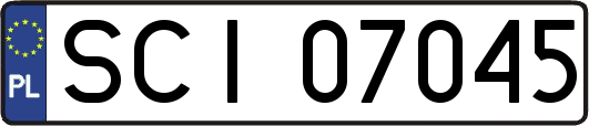 SCI07045