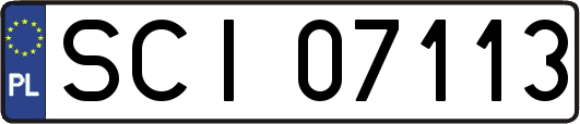 SCI07113