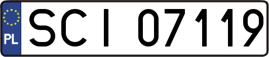 SCI07119