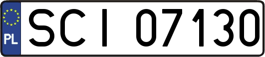 SCI07130
