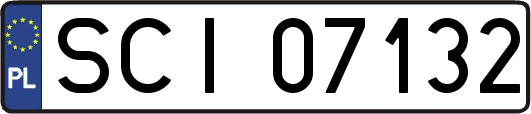 SCI07132