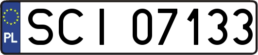 SCI07133