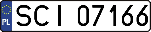 SCI07166
