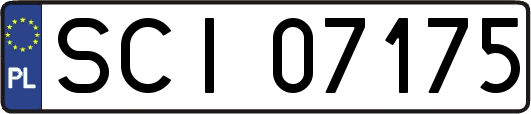 SCI07175