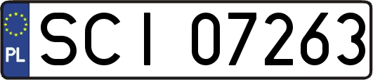 SCI07263