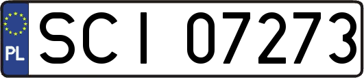SCI07273