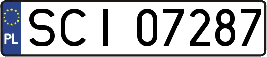 SCI07287