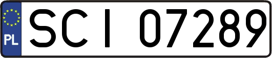 SCI07289