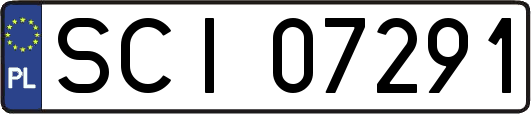 SCI07291