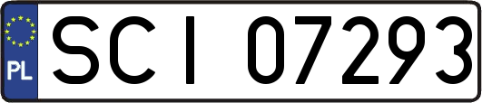 SCI07293