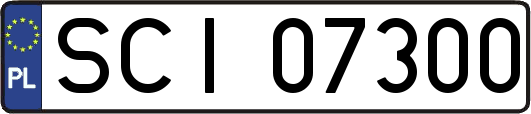 SCI07300
