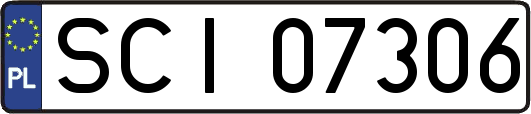 SCI07306