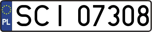 SCI07308