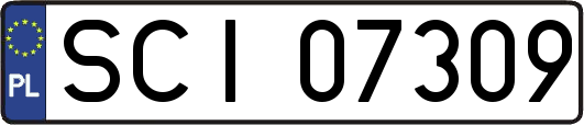 SCI07309