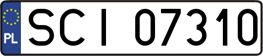 SCI07310