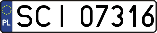 SCI07316