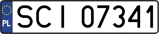 SCI07341