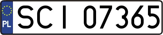 SCI07365