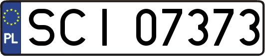 SCI07373