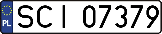 SCI07379