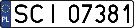 SCI07381