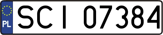 SCI07384