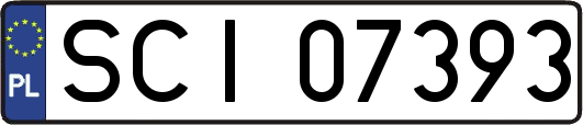 SCI07393