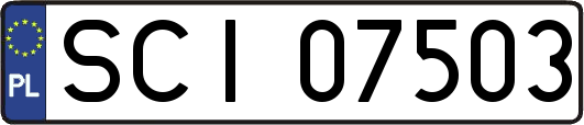 SCI07503