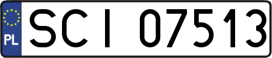 SCI07513