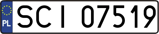 SCI07519