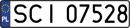 SCI07528