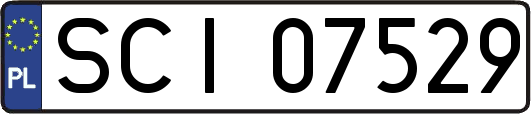 SCI07529