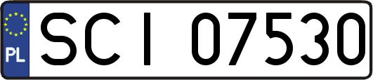 SCI07530