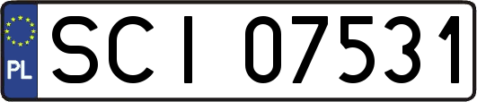 SCI07531