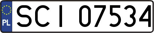 SCI07534