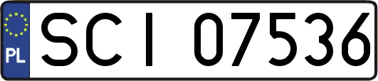 SCI07536