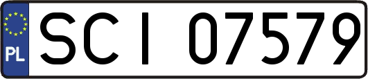 SCI07579