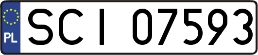 SCI07593