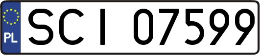 SCI07599