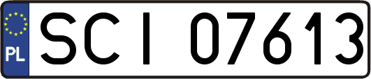 SCI07613