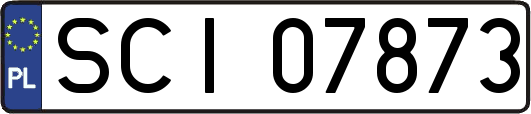 SCI07873